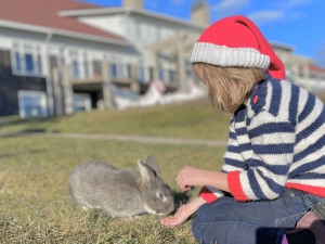 A child feeding a bunny at White Point