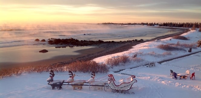 Holiday Christmas Beach Winter